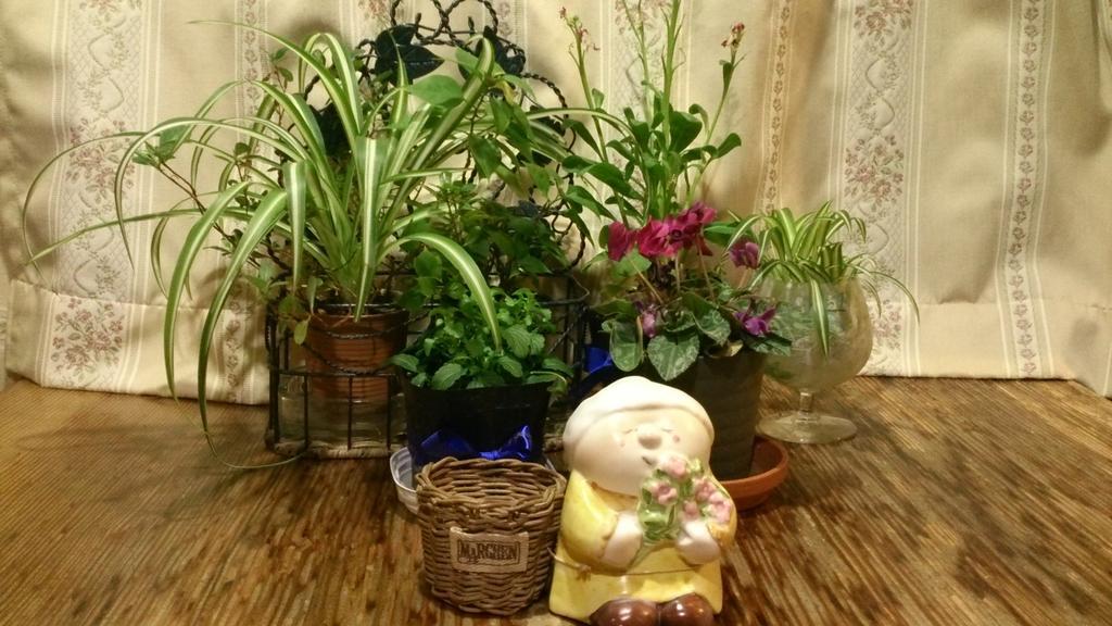 Gallery & Lodge Noichigo Хакуба-Мура Экстерьер фото